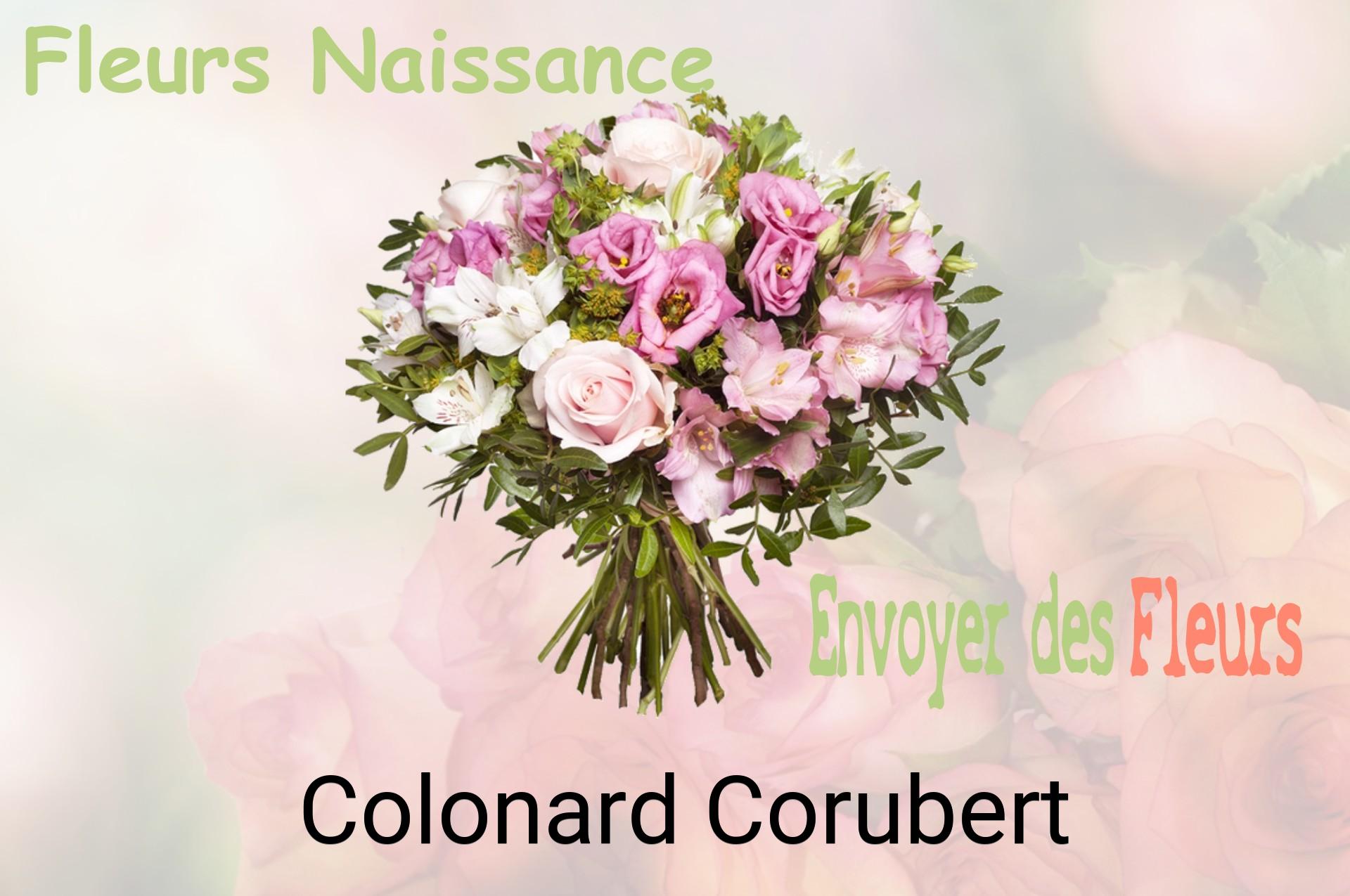Bouquet de fleurs de naissance livré à Colonard-Corubert